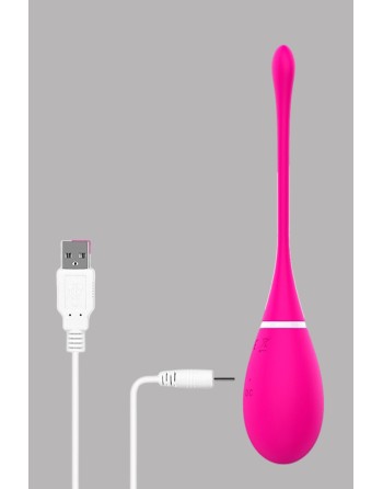 Œuf vibrant 12 modes avec télécommandé USB Rose - TOD-088PNK